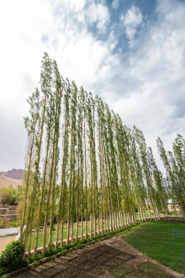 Tongspon Inn Leh Exterior foto